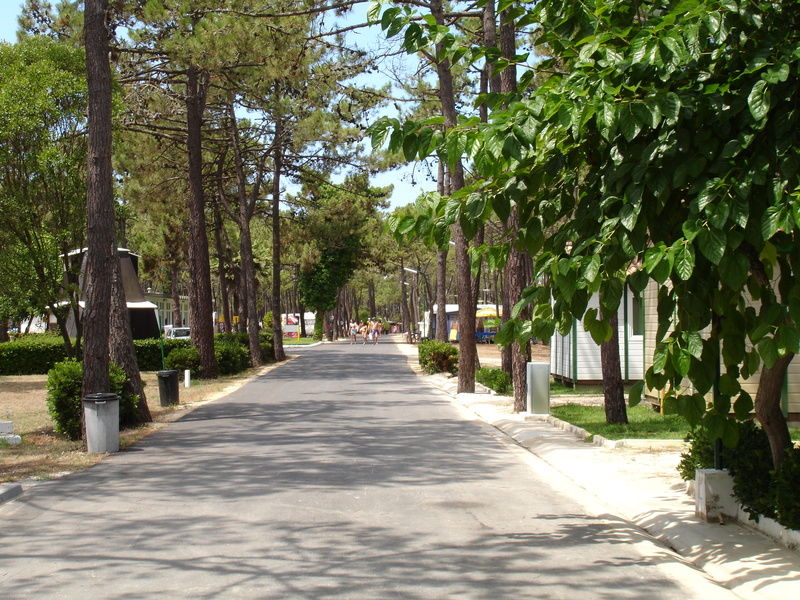 Parque De Campismo Orbitur Gala Hotel Figueira da Foz Exterior foto