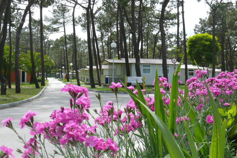 Parque De Campismo Orbitur Gala Hotel Figueira da Foz Exterior foto